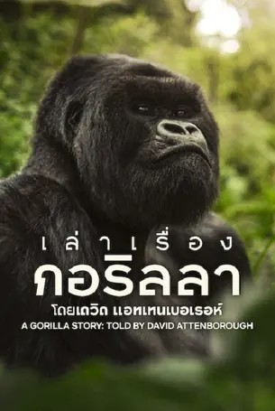 ดูหนังดี